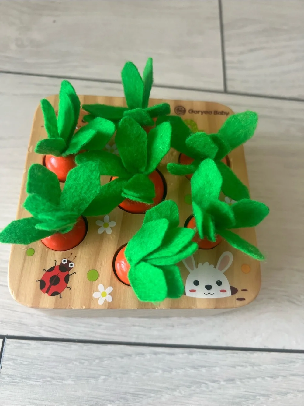 Montessori Carrot Harvest